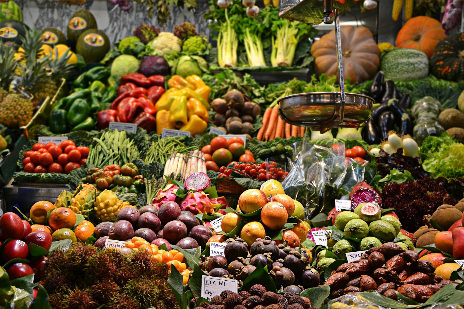 Food Sensitivity Testing: Worth It?